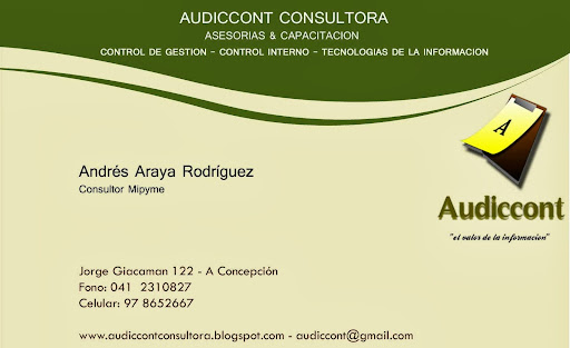 AUDICCONT CONSULTORA, Chile 122, Concepción, Octava Región del Bio Bio, Chile, Planificador financiero | Bíobío