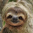 Samantha F avatar image