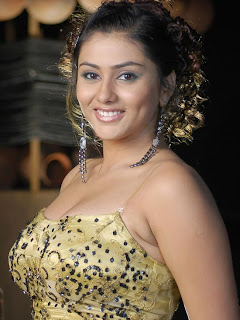 South Indian Actress Namitha Hairstyle Pictures