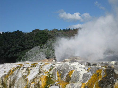 The Prince of Wales spring erupting in Rotarua, New Zealand