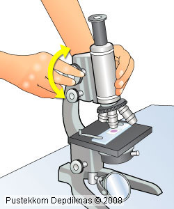 Cara menggunakan mikroskop – PRAKTIKUM BIOLOGI