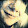 fæ wïlcøx fæ wïlcøx's profile photo