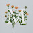 Milissa Whitman avatar image