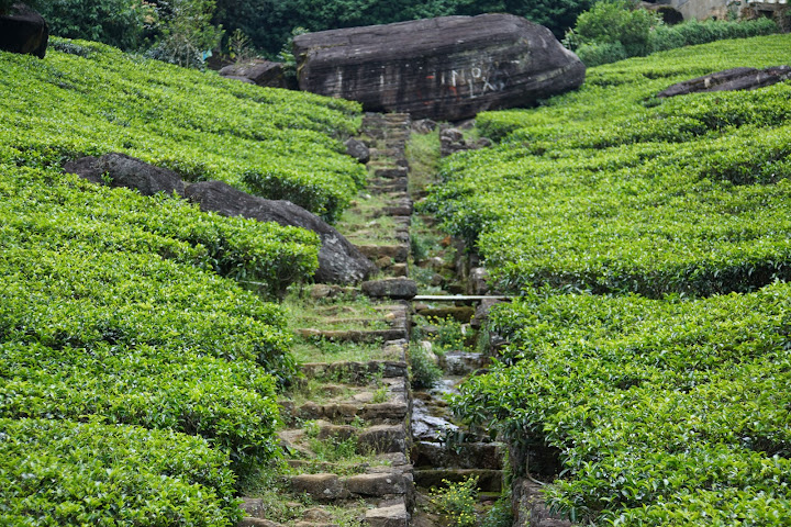 Шри-Ланка: на машине 1 100 км,  фото без комментариев, март-апрель 2013г.