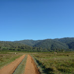 Walking along Behrs Flat (292522)