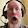 Titus France Titus France's profile photo