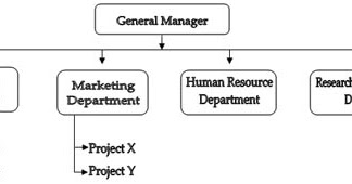 Project Management: Pure Functional Organization