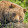 Gene Saadi Gene Saadi's profile photo