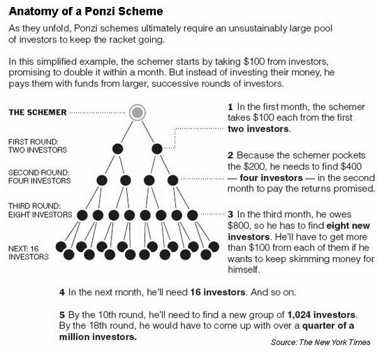 Anatomy of Pozi scheme investment fraud