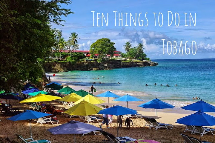 Ten Things to Do in Tobago