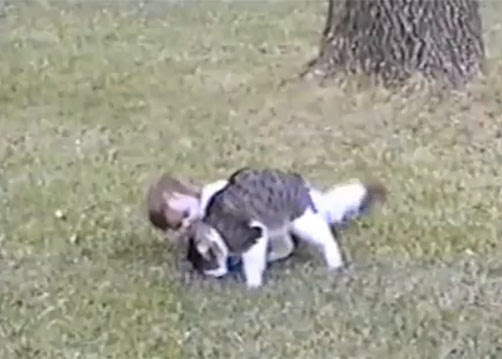 Video : ネコ VS 赤ちゃん ! !