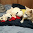 stuart saito avatar image