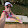 Kristin Stuthard Kristin Stuthard's profile photo