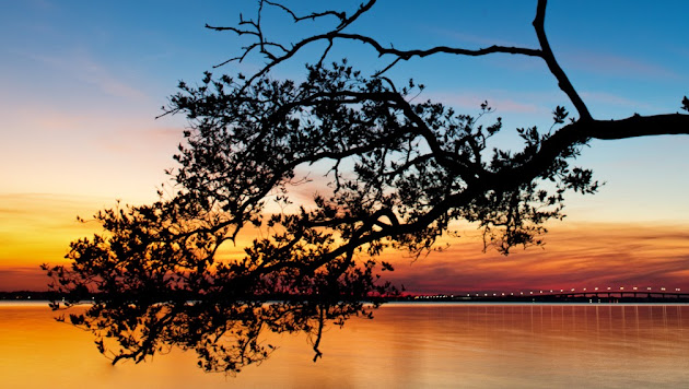 Cover photo