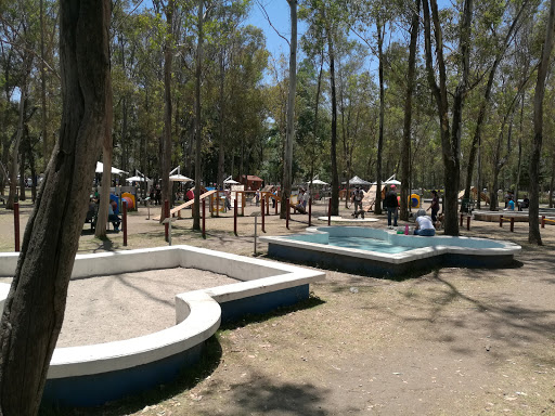 Parque Canino, área recreativa para mascotas, Sin Nombre parque Naucalli, Circuito Poetas 137, Sin Nombre, Naucalpan de Juárez, Méx., México, Parque para perros | EDOMEX