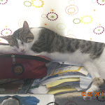 Scrapbook photo 3