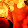 Sancheeta Biswas Sancheeta Biswas's profile photo