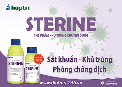Sterine chế phẩm khử trùng, diệt khuẩn phòng chống dịch 
