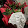 Paulwin Jerome Paulwin Jerome's profile photo