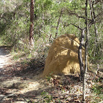 Termite Mound (233918)
