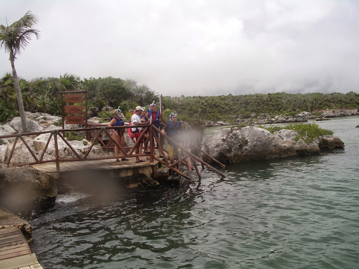 PENINSULA YUCATAN & MI REENCUENTRO CON EL PUEBLO MAYA - Blogs de Mexico - XEL-HA,FAUNA Y FLORA CON VISITA AL PARQUE NATURAL Y CENOTES (40)
