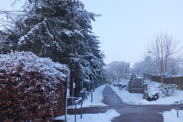 Snow on Campus