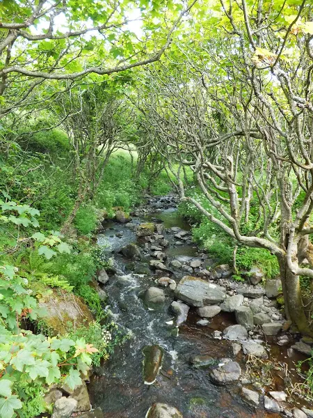 Stream at Poltesco