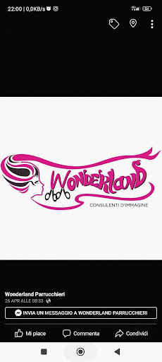 Wonderland parrucchieri srl logo