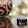 Katelyn J Katelyn J's profile photo