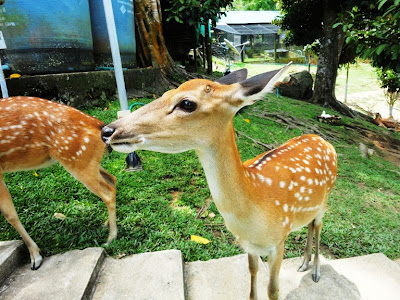 Майский Тай (Бангкок-Самуи-Тао)