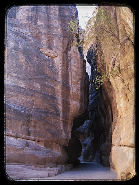 Senderismo en Petra y Wadi Rum - Blogs de Jordania - El primer día en Petra (8)