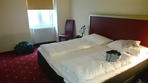 Hotel Viena