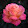 talaat sultan talaat sultan's profile photo