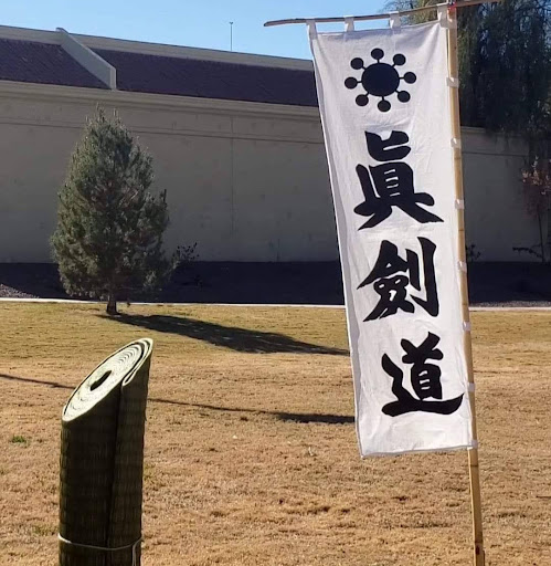 Nansei Dojo Shinkendo & Aikibujutsu logo