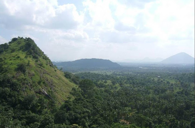 A journey to Sreelanka 8