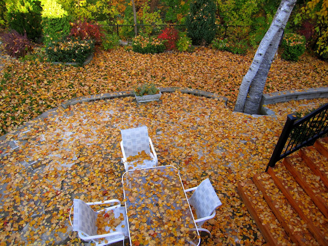 Осень на моём дворе
