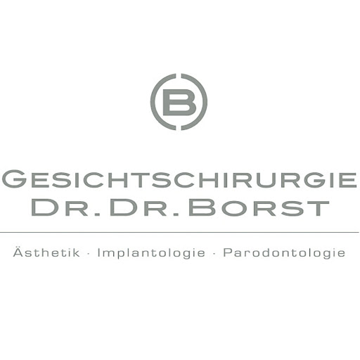 Praxisklinik Dres Borst | Biologische Zahnmedizin - Implantate - Sofortversorgung logo