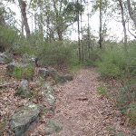 Track down to Lawsons Lookout (146421)