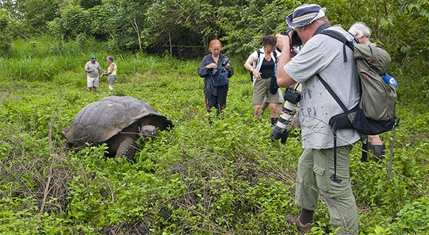 San Cristobal - Tortoises Surbound