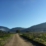 Bicentennial Trail at Behrs Flat (292009)