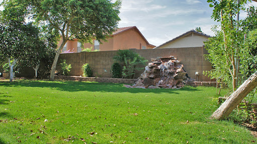 Backyard with mature trees, green grass, covered patio in Mesa 85212