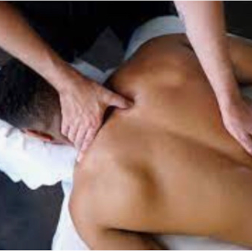 The Noah Massage Therapy logo