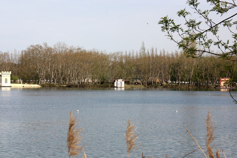 estany d eBanyoles des de Punta Cuaranya