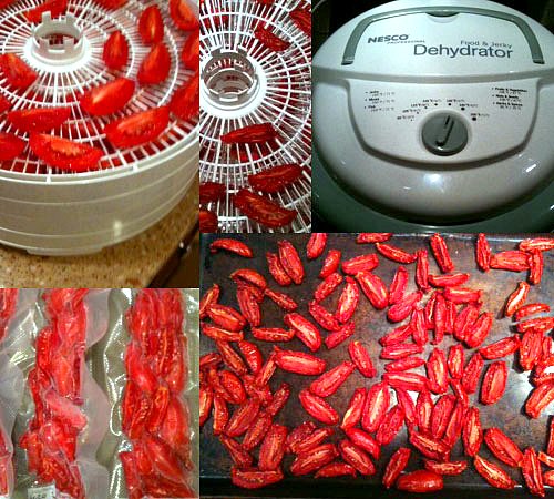 Dehydrating Tomatoes: Making Your Own Sun Dried Tomatoes