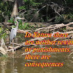 Scrapbook photo 5