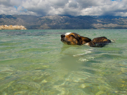 beach sunčani Ražanac