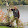 William Whittome William Whittome's profile photo