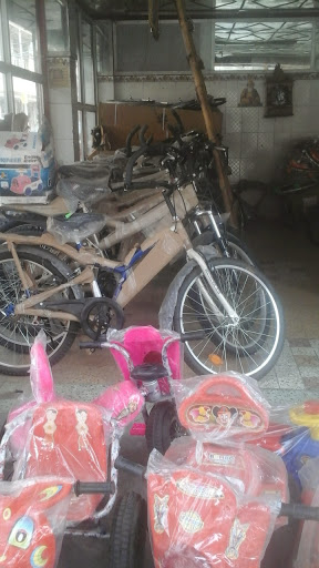 Thukral Cycle Store, A-18/, Swaran Singh Rd, Block B 1, Adarsh Nagar, Delhi 110033, India, Bicycle_Shop, state DL