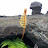 Stuart W avatar image