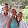 NiTaLu Hromyk NiTaLu Hromyk's profile photo